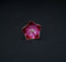 Pure Silver Pink And Red Flowers 3g